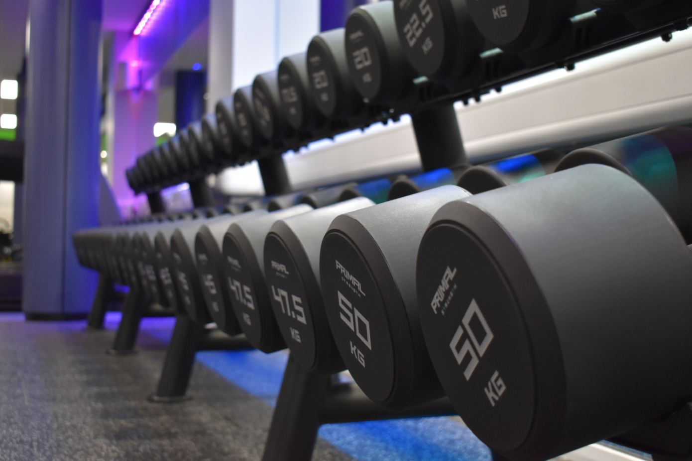 Set of dumb bells in a gym